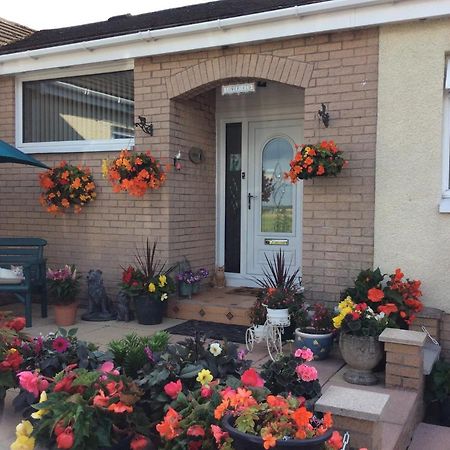 Lowefield B&B Stirling Extérieur photo