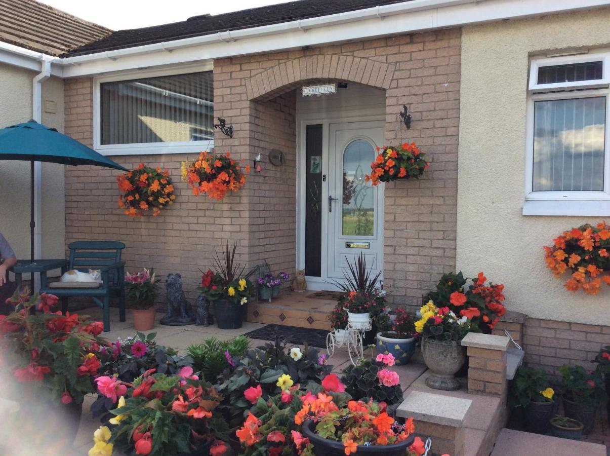 Lowefield B&B Stirling Extérieur photo